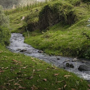 ruisseau eteaux